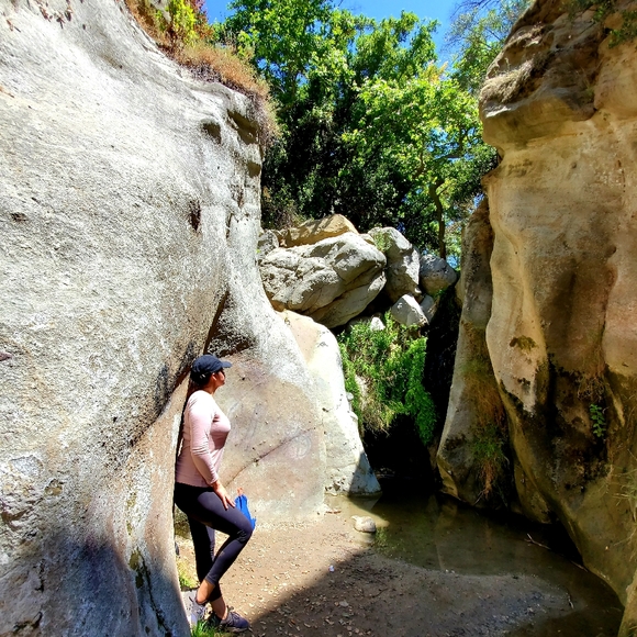 Meet your Posher, Claudia - Picture 2 of 7